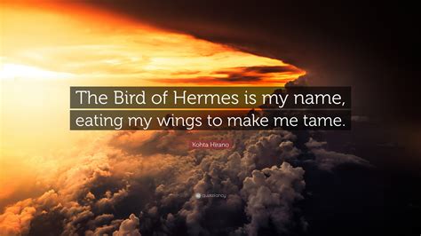 bird of hermes mythology|the bird of hermes is my name eating wings to make me tame.